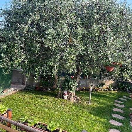 Casa Vacanze Collina Del Lago Pastrengo Bagian luar foto